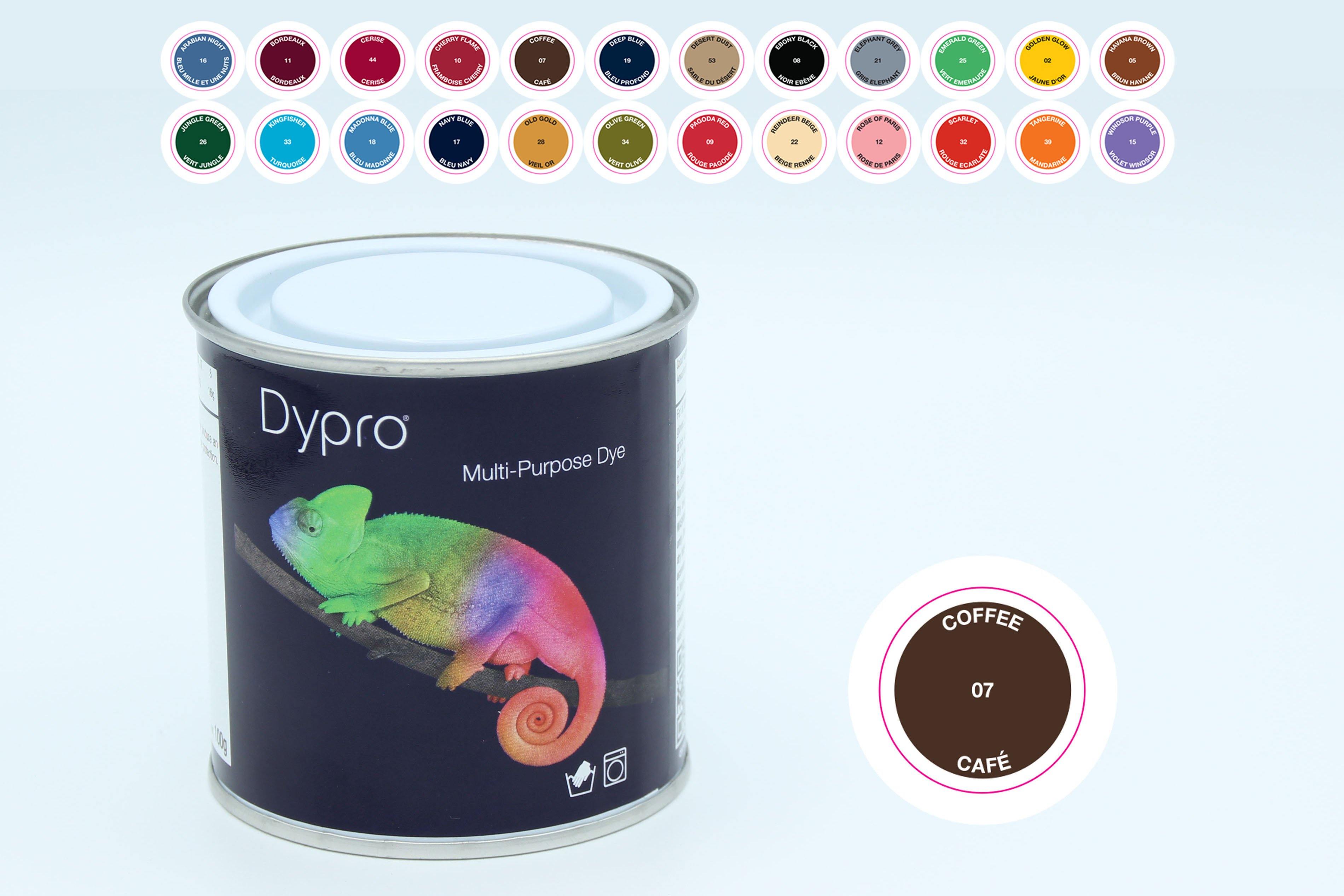 Dypro (DYLON) - Teinture Multi-Usages (10g) - Teint le polyamide ☆